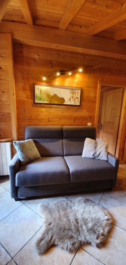 Bienvenue Dans Notre Chalet! Appartement Les Sitelles Льо Гран-Борнан Екстериор снимка